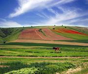 ابهام در واگذاری زمین‌های مورد اختلاف دشتروم (روستای منصور آباد ) حق مردم چه می‌شود